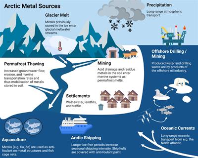 Climate Change increases the risk of metal toxicity in Arctic zooplankton